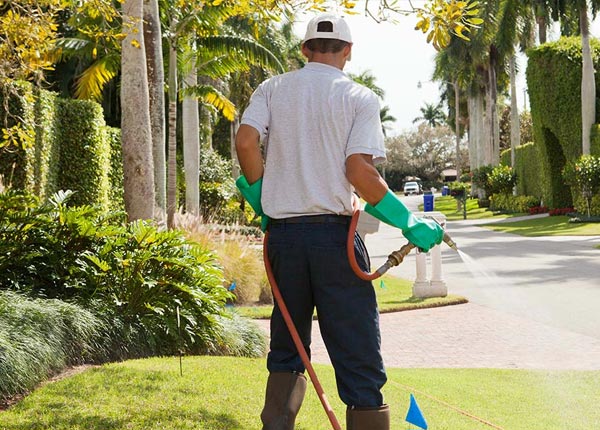 About Craigsville VA Pest Control